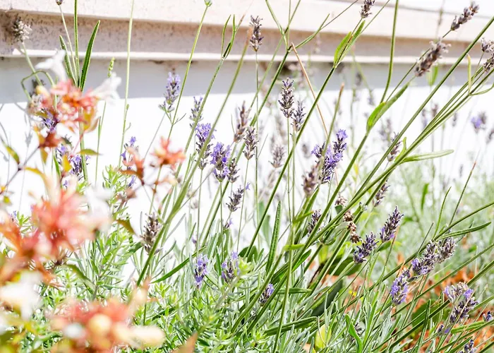 فندق Sorriso ميسانو ادرياتيكو